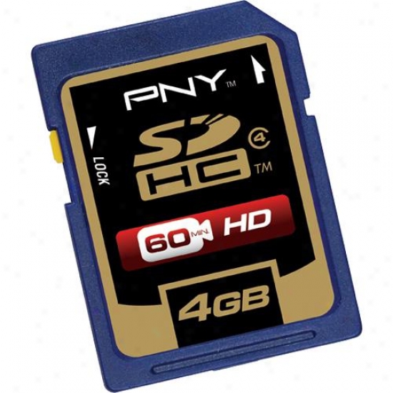Pny 4gb Sd High Capacity Memory Card