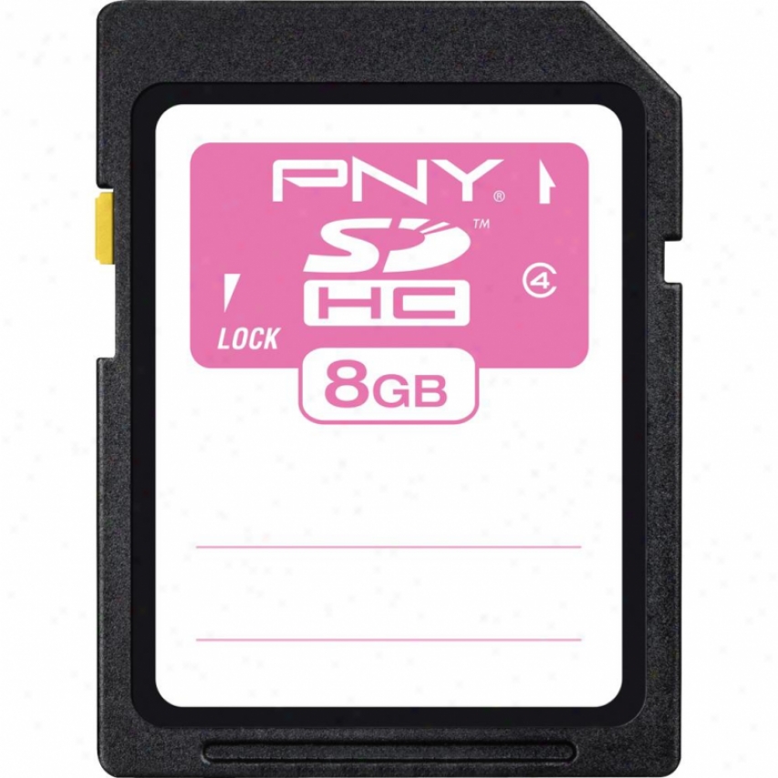 Pny 8gb Class 4 Sdhc Flash Memorial Card