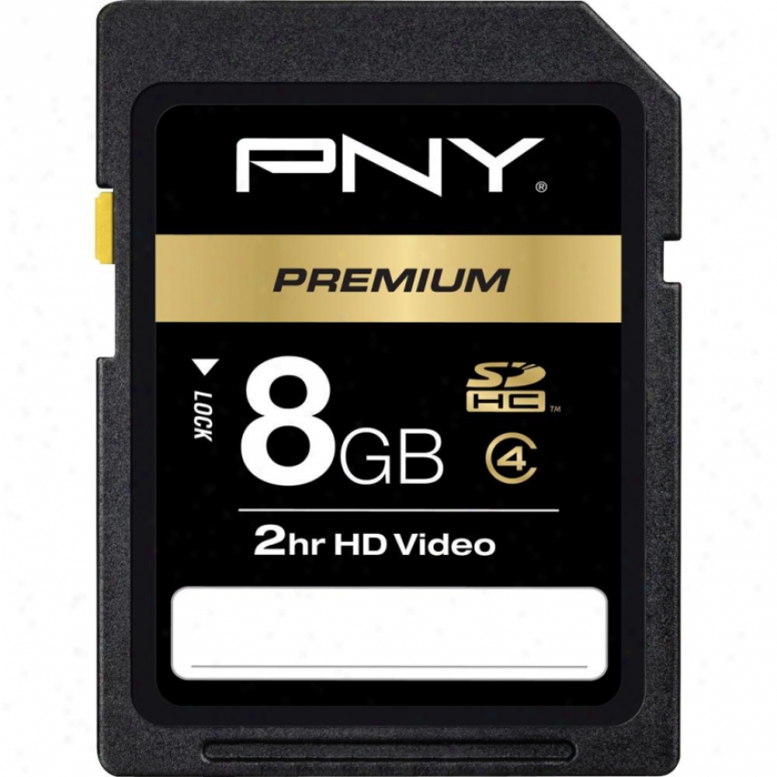 Pny 8gb Class 4 Secure Digital High Capacity (sdhc) Memory Card