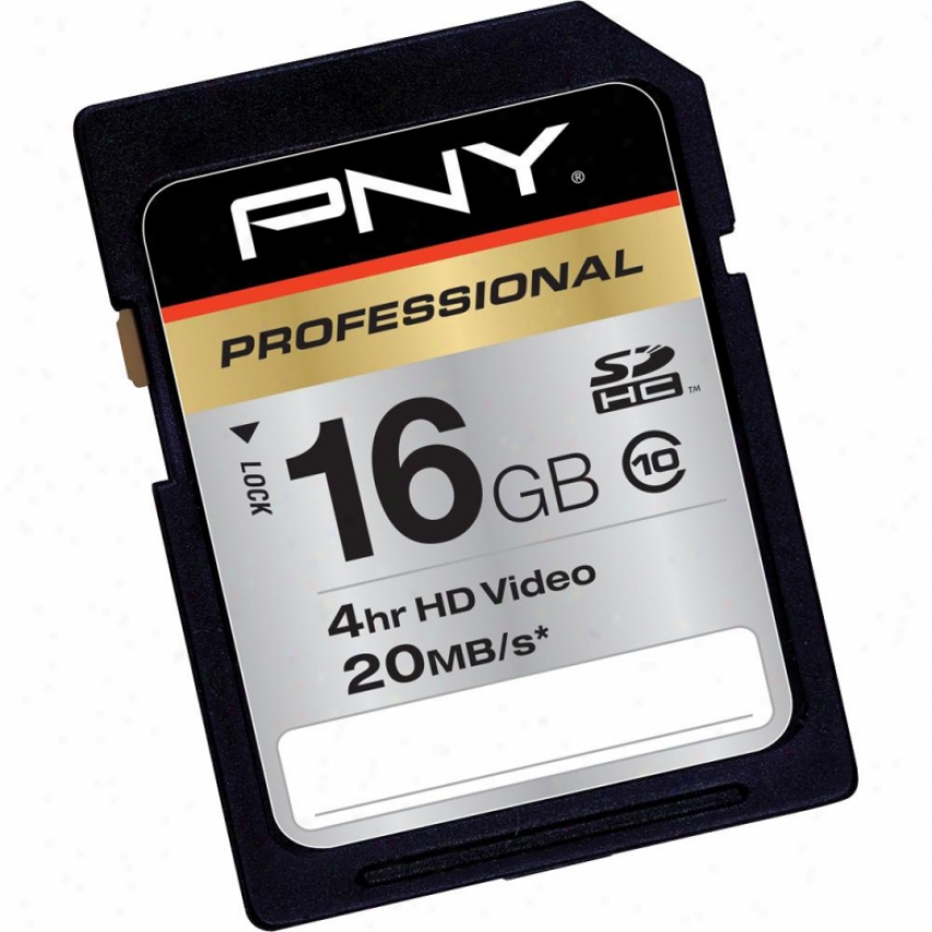 Pny P-sdh16g01-xlr133-ef 16gb Professional Series Sdhc Class 10 Memory Card