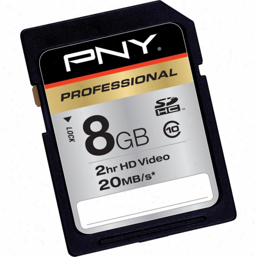 Pny P-sdh8g10-xlr133-ef 8gb Professional Series Sdhc Class 10 Memory Card