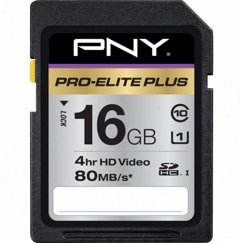 Pny Pro-elite Plus 61b High Despatch Sdhc Class 10 Uhs-ii Memory Card