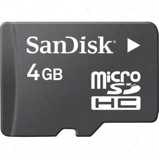 Sandisk 4gb Microsdhc Memory Card