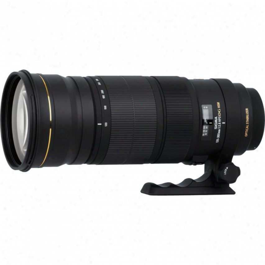 Sigma 120-300mm F3.8 Ex Dg Os Apo Hsm Telephoto Zoom Lens For Nikon Dslr Cameras
