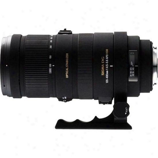 Sigma 120-400mm Nikon Zoom Lens