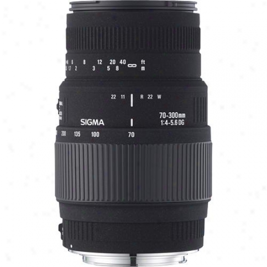 Sigma 70-300mm F/4-5.6 Dg Macro Nikon Telephoto Zook Lens