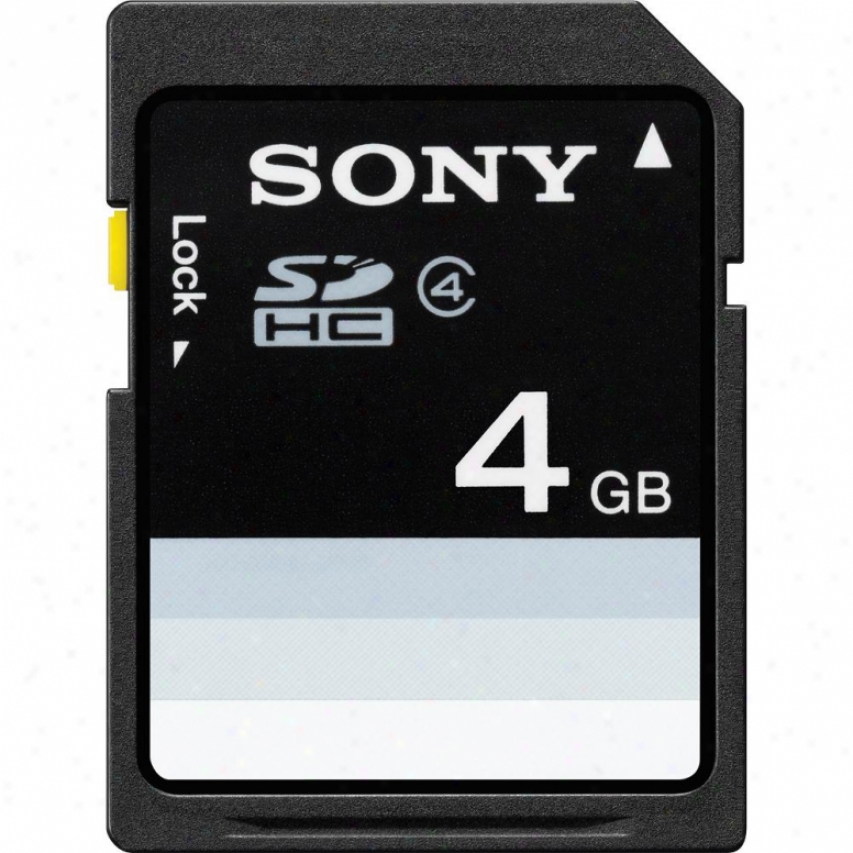 Sony 4gb Sdhc Memory Card