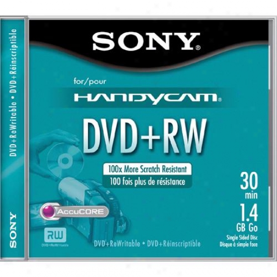 Sony Dpw30l2h 8cm Blank Dvd+rw Handyfam&reg; Disc