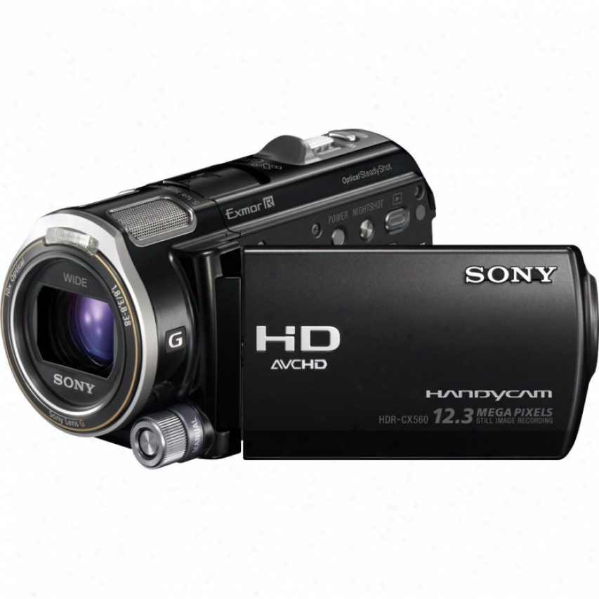 Sony Open Box Hdr-cx560v 64gb Fuull Hd Camcorder With Gps - Black