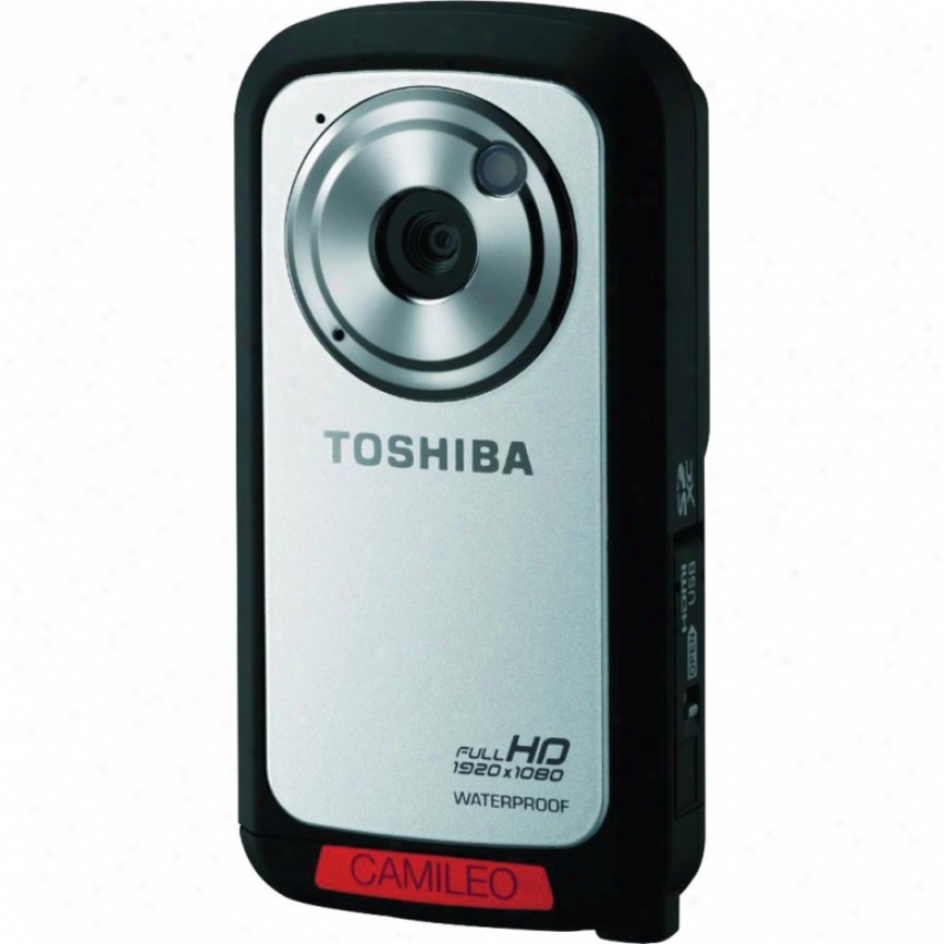 Toshiba Czmileo Bw10 Hd Camcorder Silver