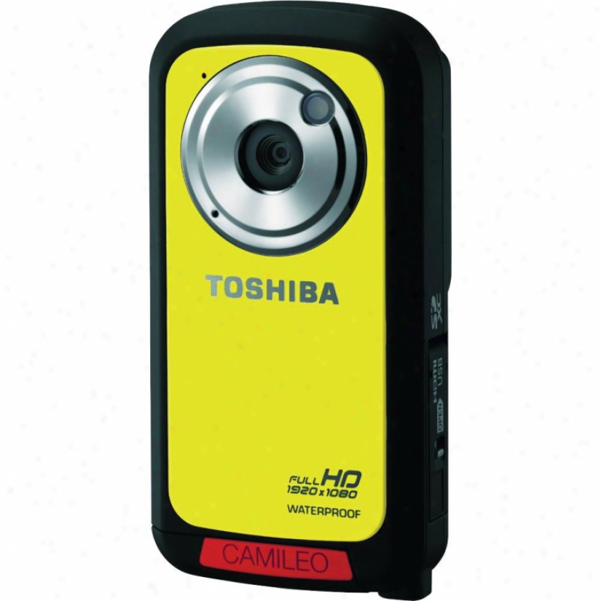 Toshi6a Camileo Bw10 Hd Camcorder Golden