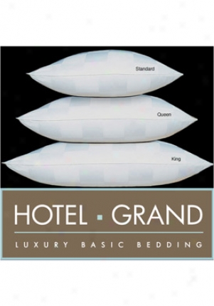 Hotel Grand D/p-11 White Euro Check 1000 Tc Damask Checm Pillow 214001