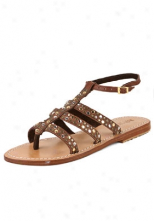 Mystique Brown Studded Flat Sandals 2454-brown-10