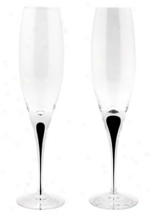 Orrefots Intermezzo Black Champagne Flute Glassds Set/22 6263091