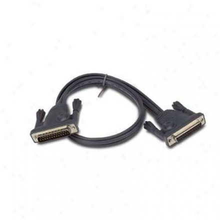 Apc 6' Kvm Daisychain Cable