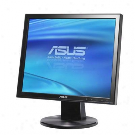 Asus 19" Lcd Panel Black