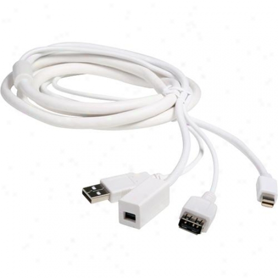 Atlona 6-foot Mini Displayyport + Usb Male/female Extensions Cable - White