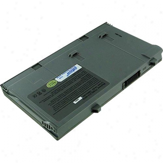 Battery Biz Hi-capacity Dell Lat Battery