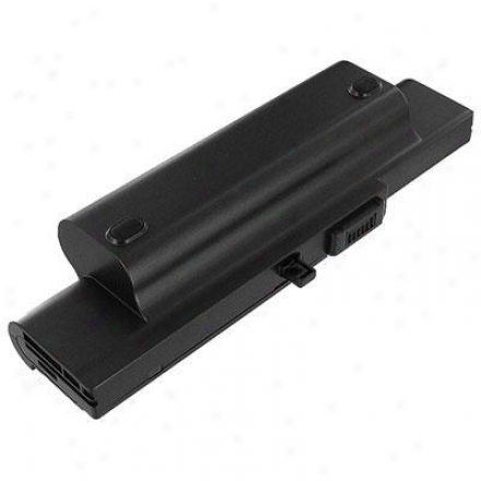 Battery Biz Hi Capacity Sony Vaio Batt