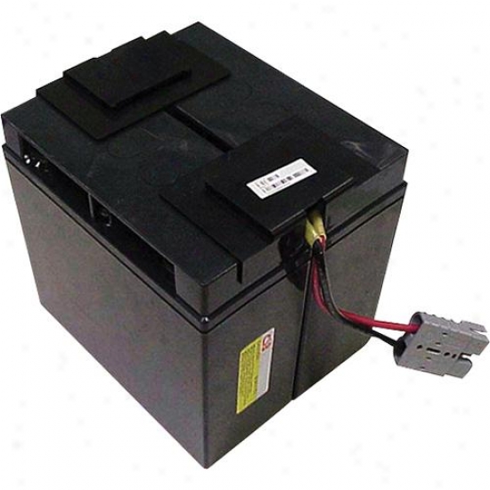 Battery Biz High Capacity Ups Battery