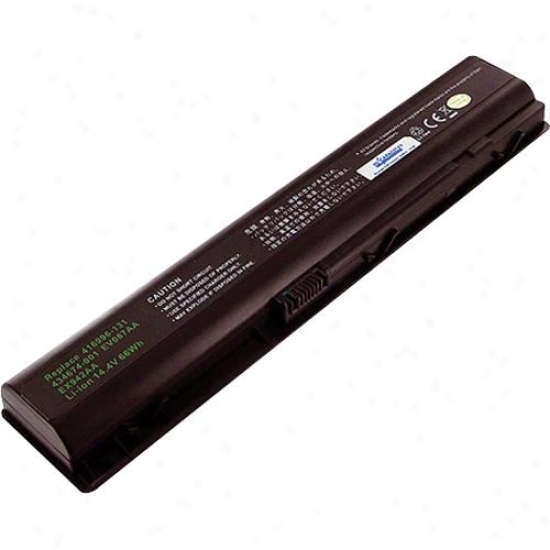 Battery Biz Laptop Batt Dv9000 Series