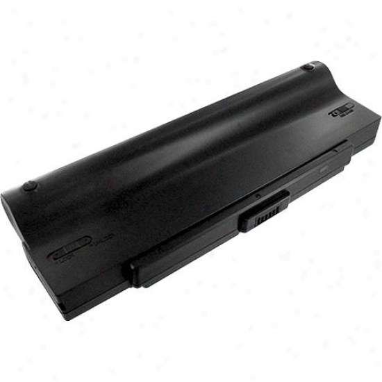Battery Biz Sony Vaio External Battery