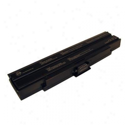 BatteryT echnologies Battery For Sony Vaio Ax, Bx
