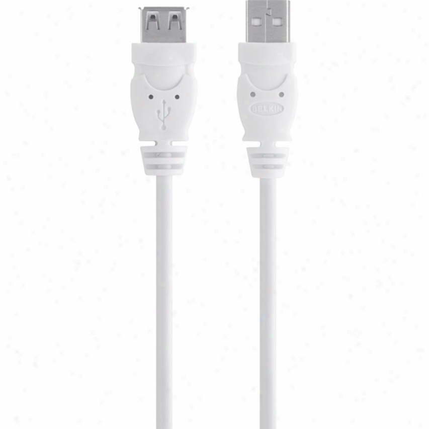 Belkin 6' Usb Ext. Cable A/a