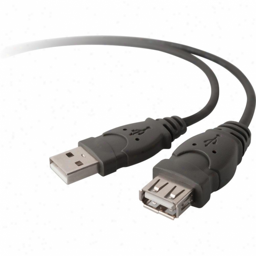 Belkin F3u134-06 Pro Series Usb Extension Cable - 6 Feet