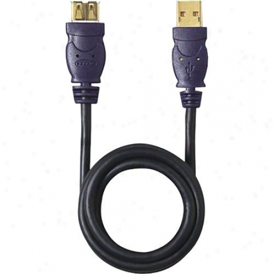 Belkin Gold Series Usb Extension Cable 6 Foot F3u13406gld