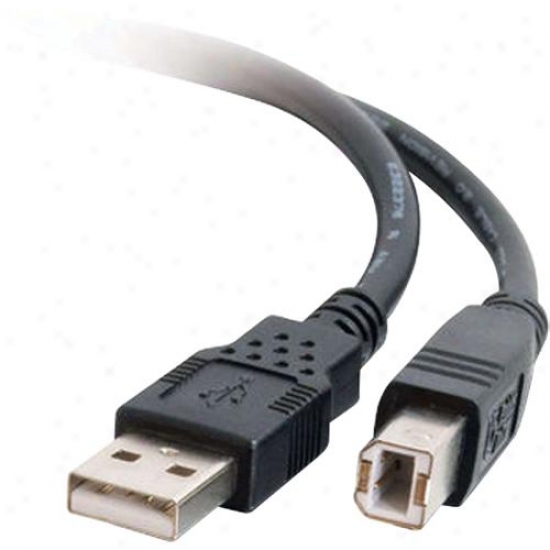 Cables To Go 5m Usb 2.0 A/b Cable - Black (16.4ft) 28104