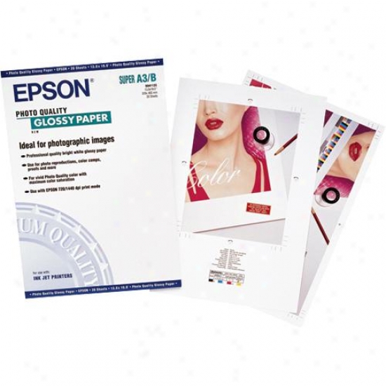 Epson 20-pack Of 13x19 Glossy Paper S041133