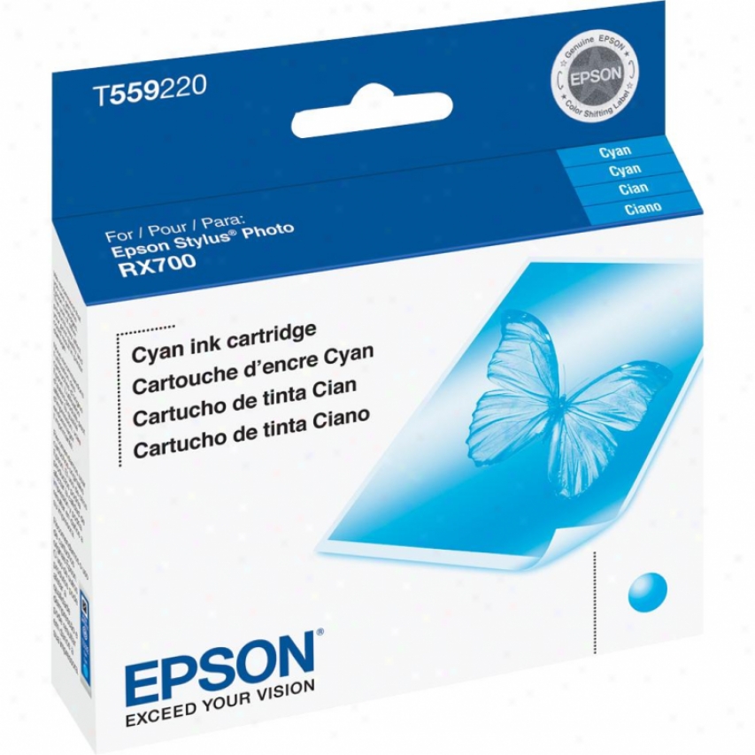 Epson Rx700 Cyan Ink Cartridge