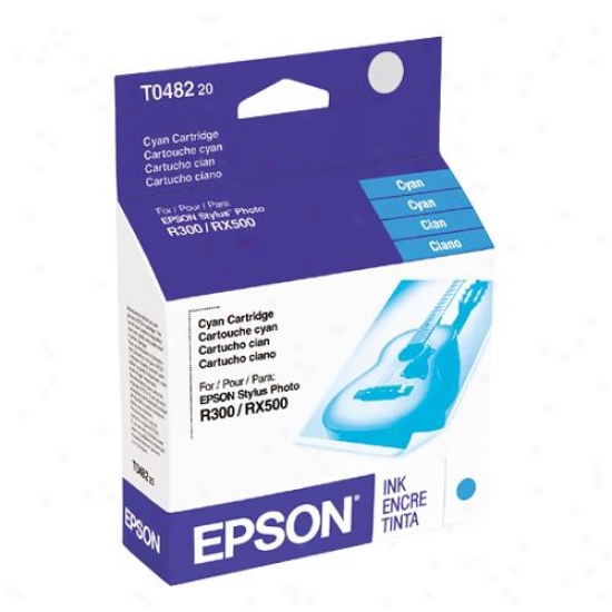 Epsno T048220 Cyan Ink Cartridge