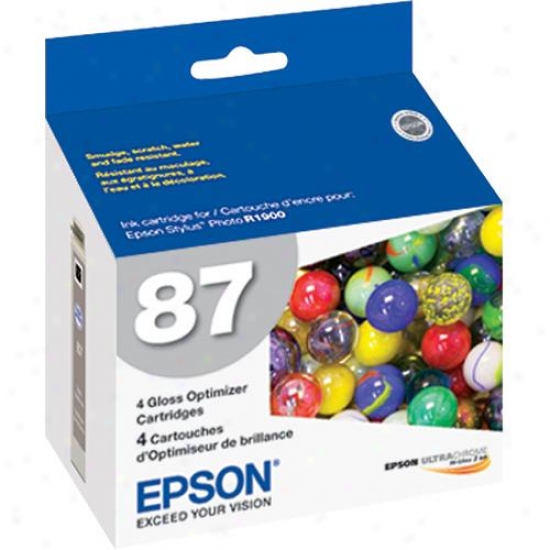 Epson T087020 Gloss Optimizer Ink Cartridge For Epson R1900