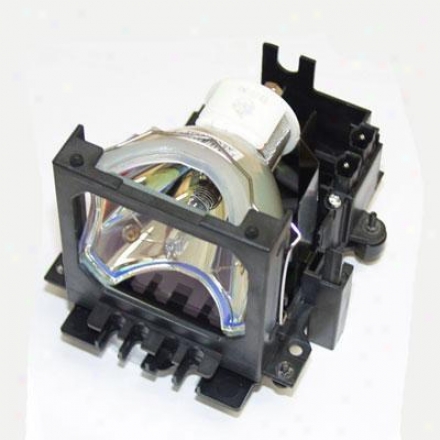 Ers Re-establishment Projector Lamp