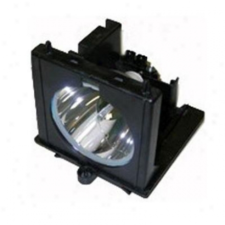 Ers Rptv Lamp For Rca