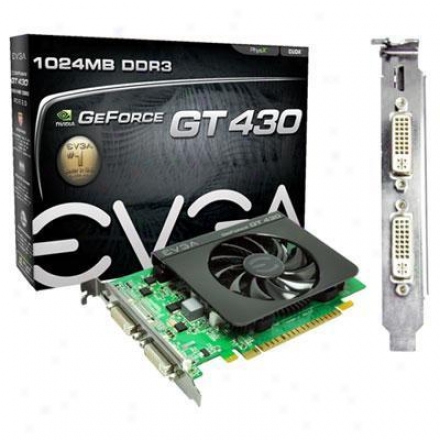 Evga Geforxe Gt430 1gb Sddr3