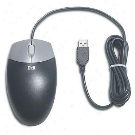 Hp Usb 2-button Optical Mouse