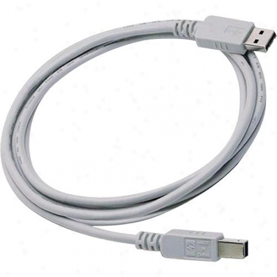 Hp Usb 2.0 Printer Cable A-b - 9 Feet