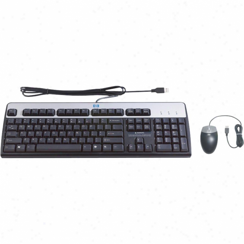 Hp Usb Keyboard/mouse Bundle