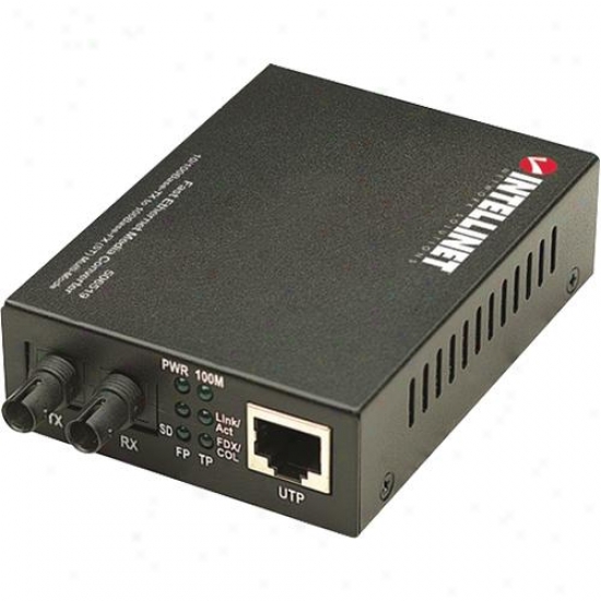 Intellinet Ethernet Media Coverter St