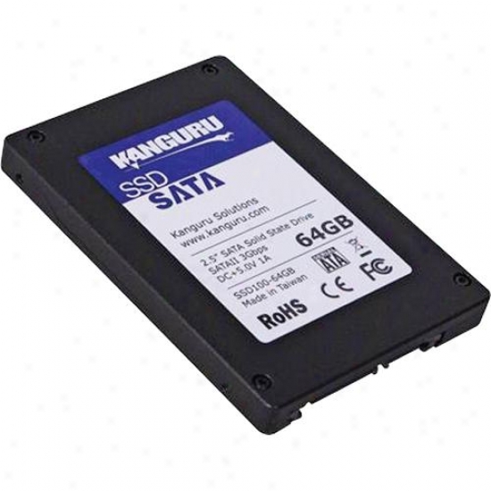 Kanguru Solutions 64gb Ssd Kssd100-6g4b