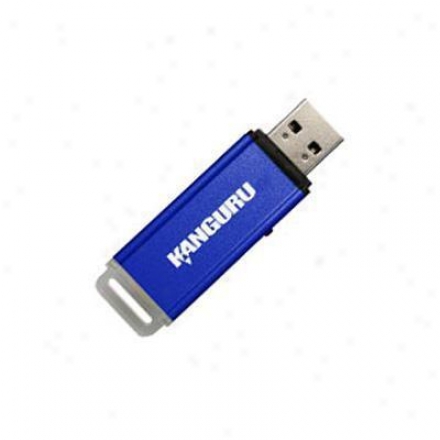 Kanguru Solutions Alk-128k Flashblu Ii 128gb 2.0 Flash Drive - Blue