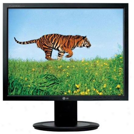 Lg 20" Lcd Monitor