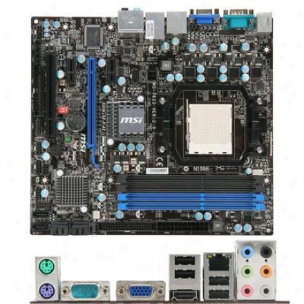 Msi Microstar Matx Am3 880g 4ddr3