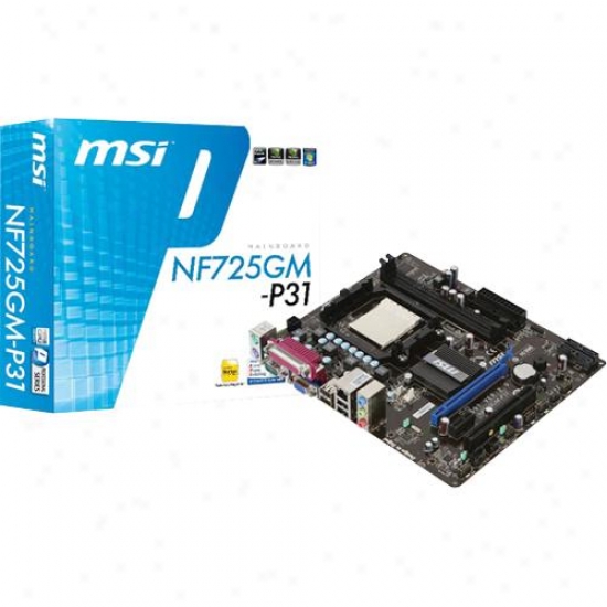 Msi Microstar Nvidia Geforce 7025 Desktop Motherboard For Amd Nf725gm-p31