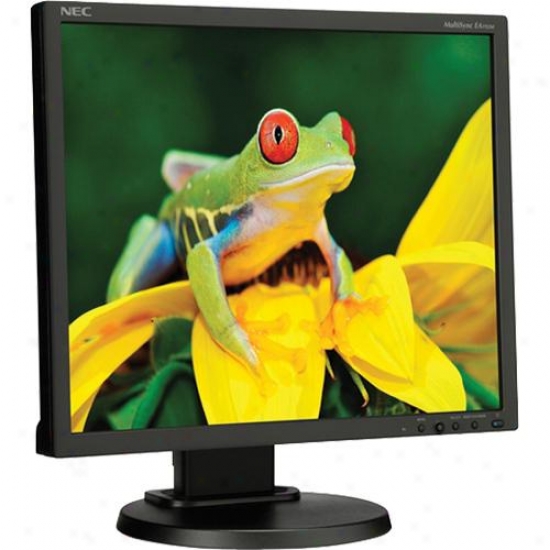 Nec 19" Multisync Lcd Monitor - Black Ea192m