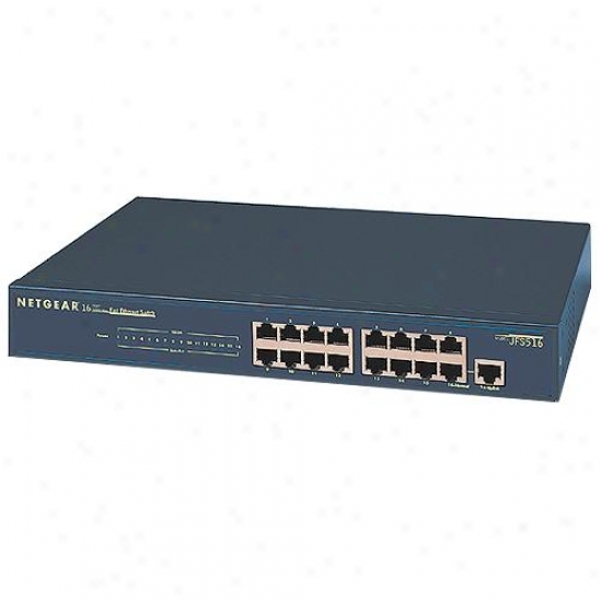 Netgear Jfs516 16 Port 10/100 Fast Ethernet Beat