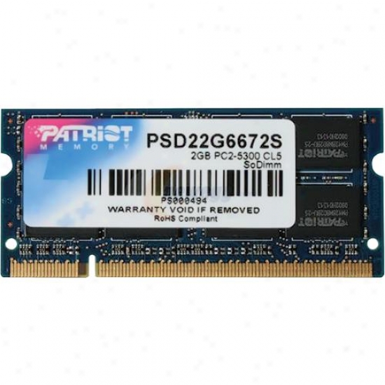 Patriot Memory 2gb 667mhz Ddr2